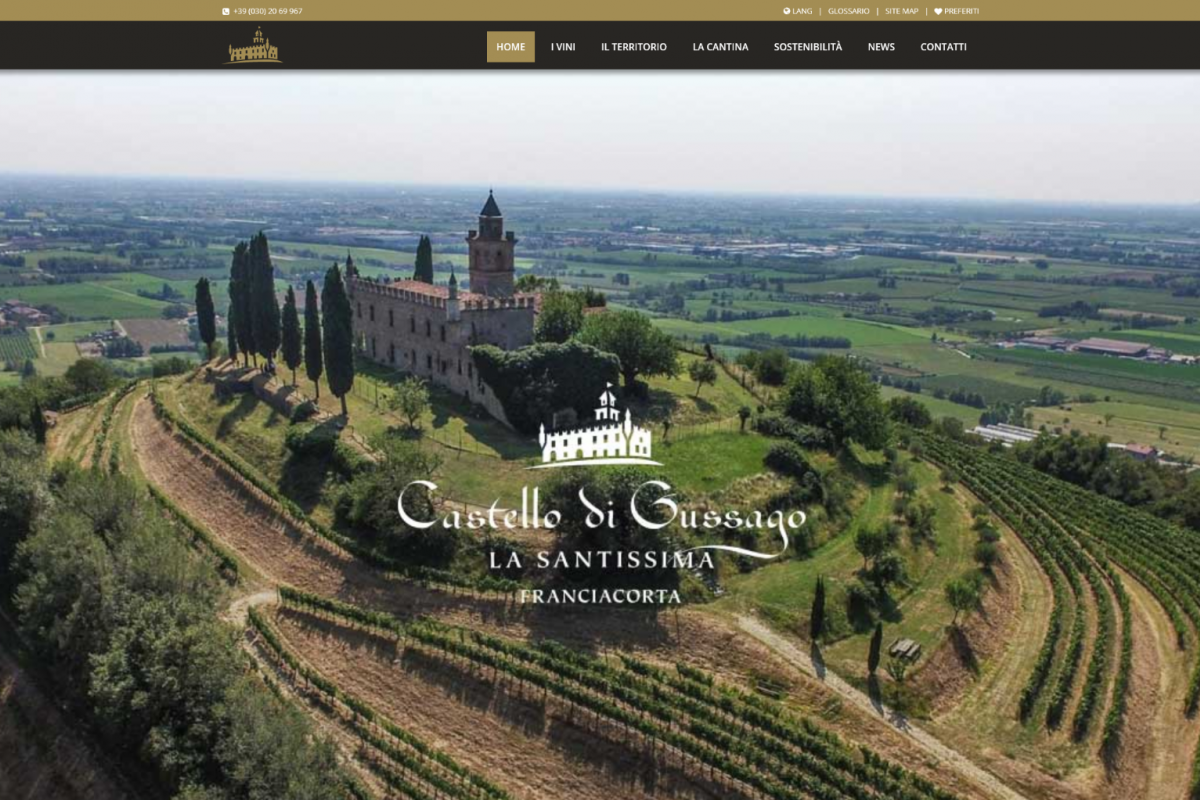 Realizzazione sito web e video vendemmia