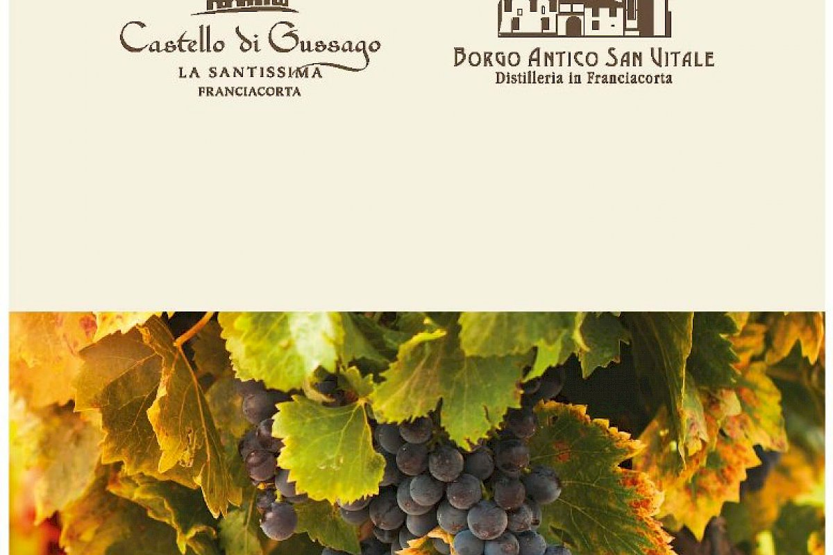 Catalogo HoReCa